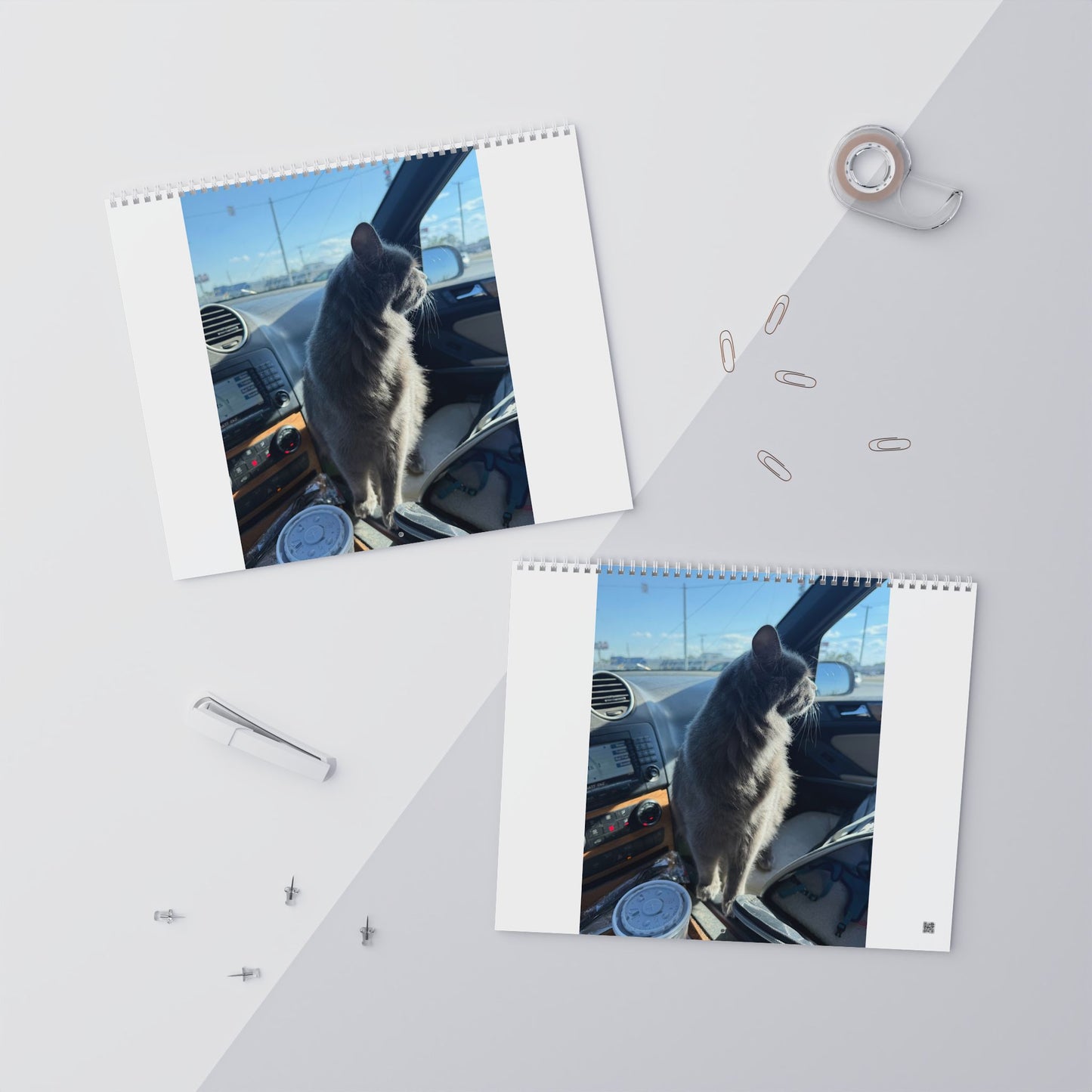 Wall Calendars (2026)