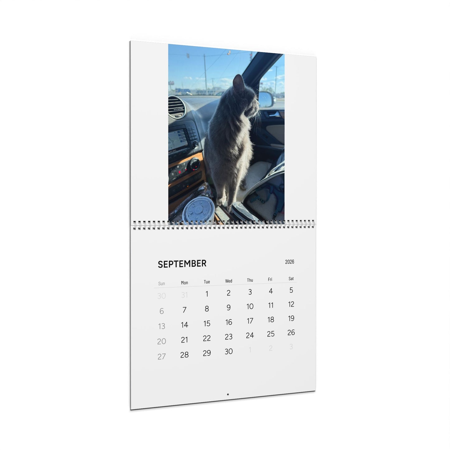 Wall Calendars (2026)